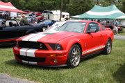 MUSTANG